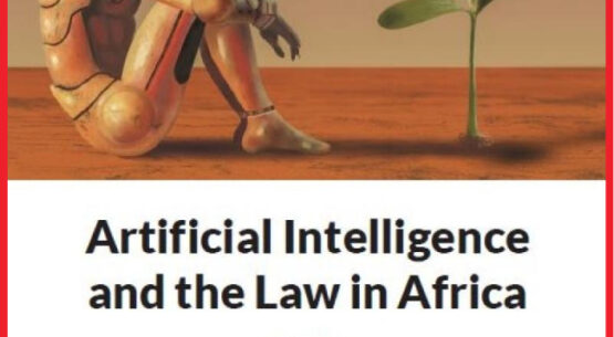 Artificial Intelligence and the Law in Africa
