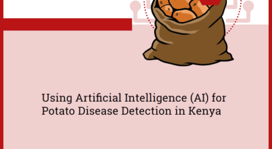 Using Artificial Intelligence (AI) for Potato Disease Detection in Kenya